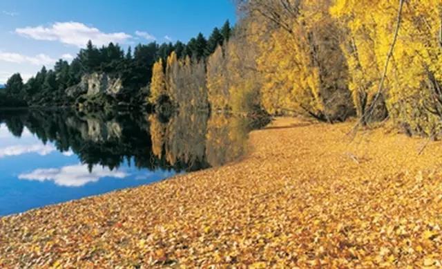 湖畔小镇瓦纳卡游玩有哪些需要注意呢？6