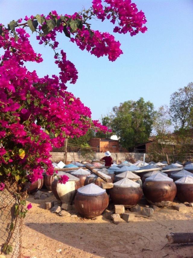 在富国岛如何选择合适的度假酒店体验生活3