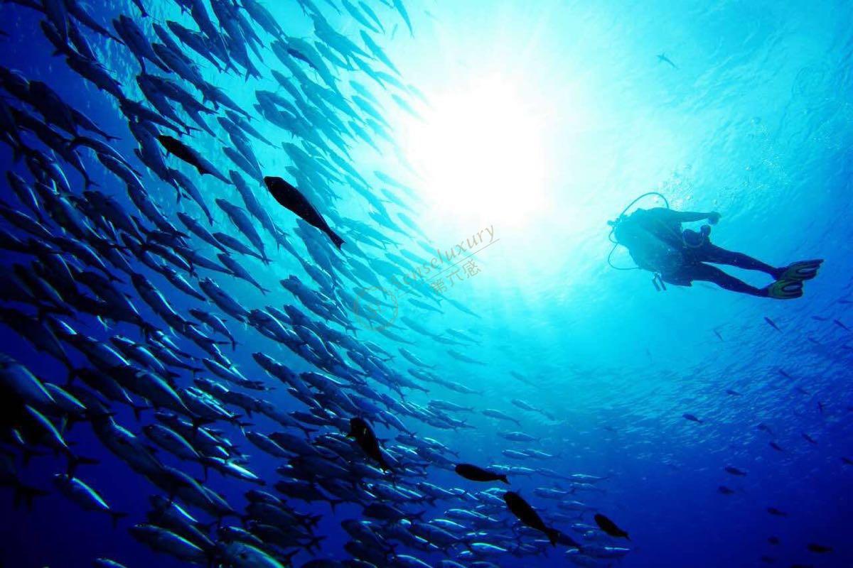 去马来度假，不可缺少的沙巴最实用旅游攻略5