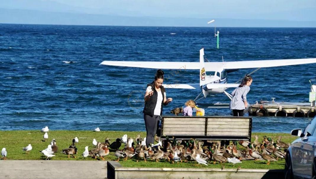 陶波二日游行程安排4