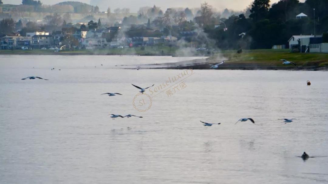 陶波二日游行程安排5