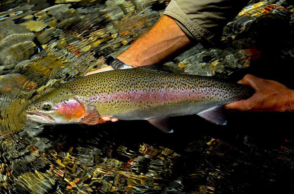 陶波度假攻略，享受被放逐的感觉5