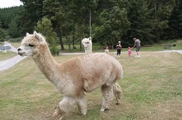 陶波度假攻略，享受被放逐的感觉7