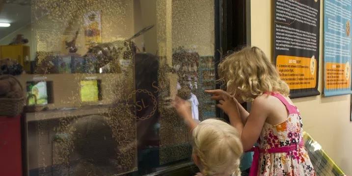 陶波度假攻略，享受被放逐的感觉8