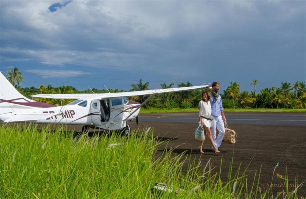 马达加斯加攻略——神奇动物在哪里2