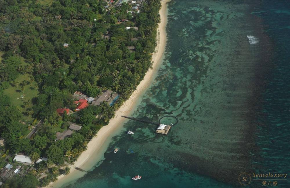 马达加斯加攻略——神奇动物在哪里4