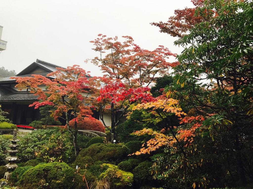 东京一年四季哪个季节去最合适？6