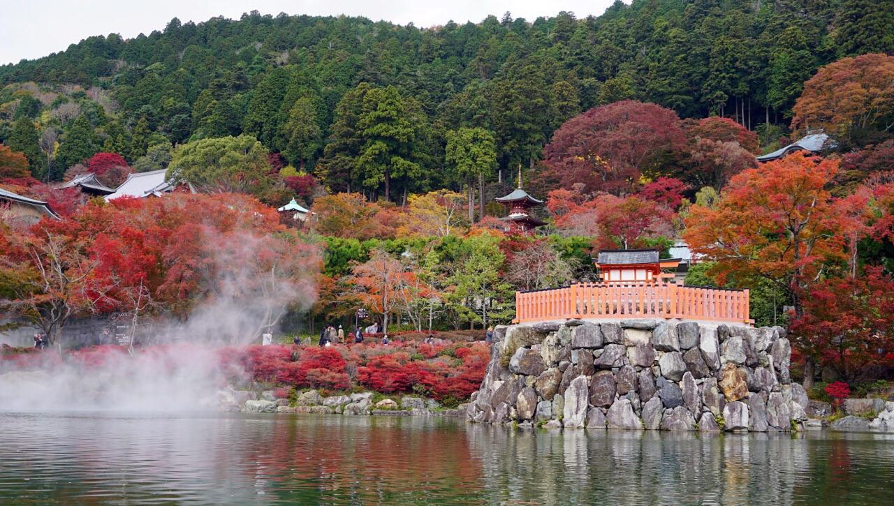 分享大阪及其周边8个欣赏枫叶的好地方2