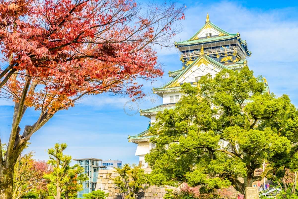 分享大阪及其周边8个欣赏枫叶的好地方3