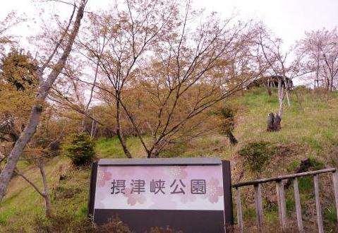 分享大阪及其周边8个欣赏枫叶的好地方6