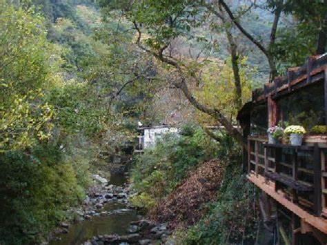 分享大阪及其周边8个欣赏枫叶的好地方7