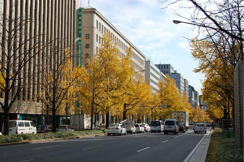 分享大阪及其周边8个欣赏枫叶的好地方8