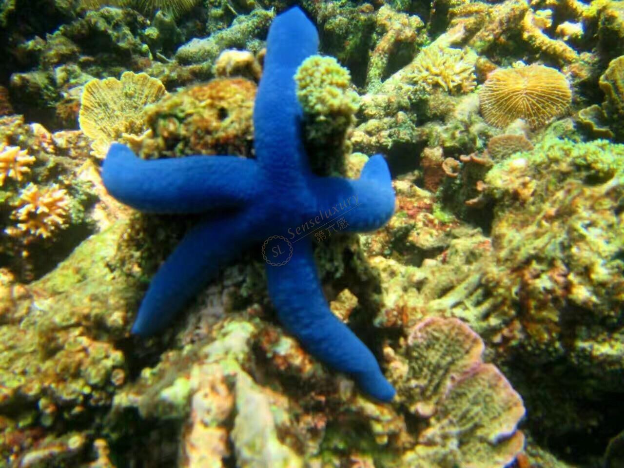 沙巴有哪些优质的度假别墅值得推荐5