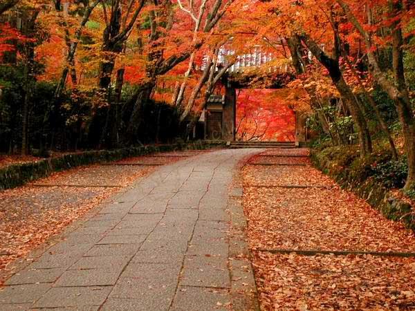 大阪旅游最佳季节是什么时候3