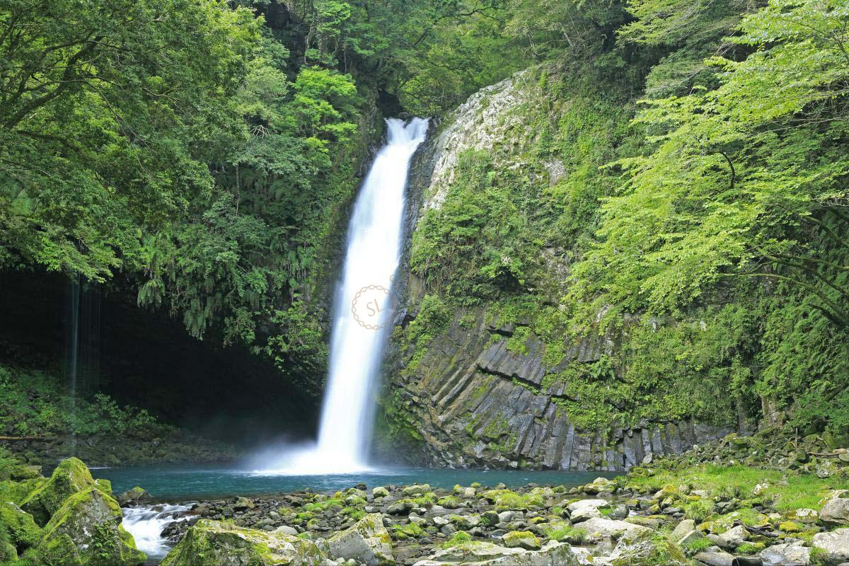 伊豆旅游景点介绍！这些景点你一定不容错过！3