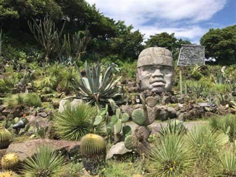 伊豆旅游景点介绍！这些景点你一定不容错过！6