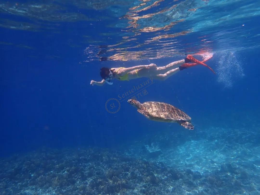 必看!去龙目岛旅游要注意这几个事项!3