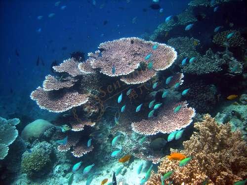 必看!去龙目岛旅游要注意这几个事项!4