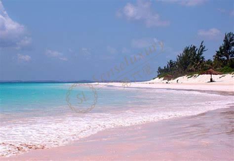 必看!去龙目岛旅游要注意这几个事项!6