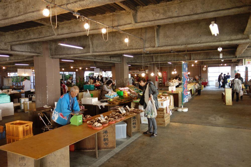 这篇旅行攻略将帮你玩转整个伊豆5