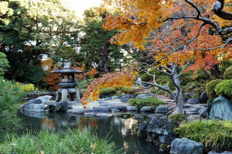 东京最受欢迎的枫叶观赏地点2