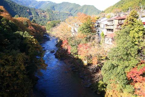 东京最受欢迎的枫叶观赏地点6