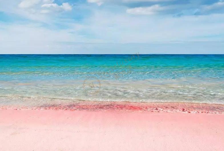 去一次龙目岛需要多少花费3