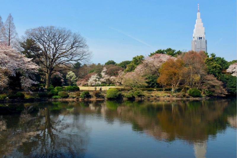 东京两日游自由行路线安排，杜绝“拥挤”3
