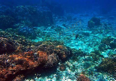 去龙目岛旅游如何做好攻略5