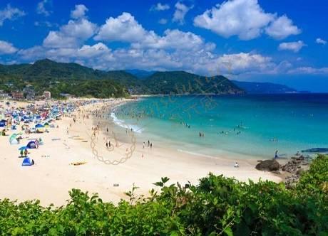 伊豆自由行路线推荐，这样游玩才有趣！6