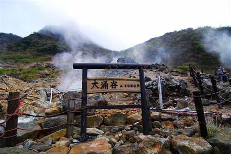 吃货不容错过！伊豆美食攻略篇带你吃遍大街小巷8