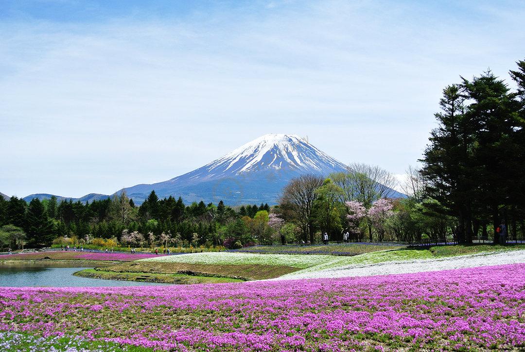 除了看富士山以外还有哪些景点值得一去！3