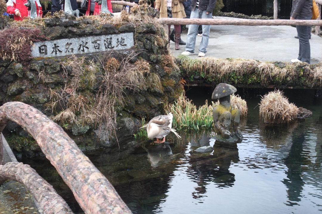 除了看富士山以外还有哪些景点值得一去！6