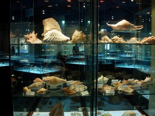 你绝对没看过的长滩岛两日自由行攻略！3