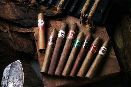 薄荷岛攻略大全带你尽享不一样的海岛风光4