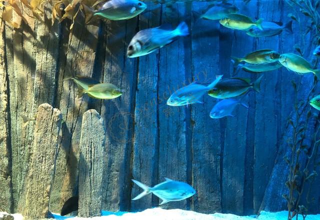 兰卡威经典一日游自由行路线推荐2