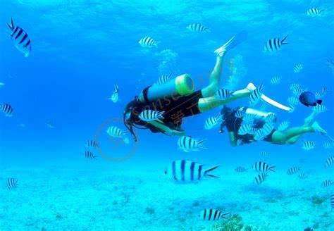 这篇旅游攻略带你畅游日本冲绳岛5