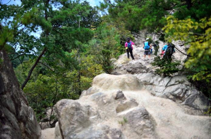 如果想在神户自由行,那就来看看这篇一日游攻略吧6