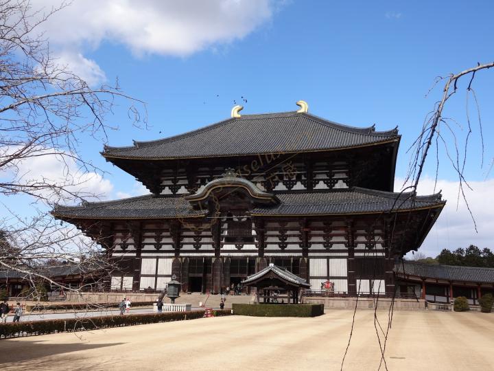 只知道奈良的小鹿？奈良旅游景点其实还有这些！2