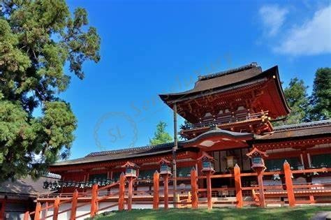 只知道奈良的小鹿？奈良旅游景点其实还有这些！3