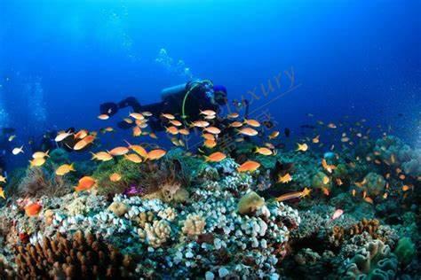 各国风俗不同，去马尔代夫旅行需要注意些什么？4