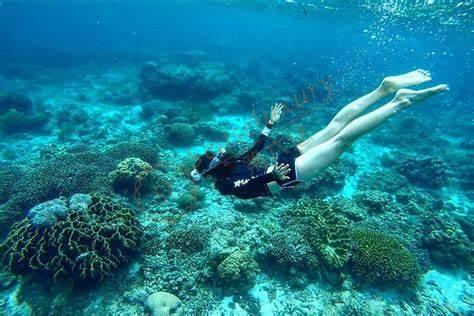 去菲律宾的薄荷岛旅游要花好多钱5