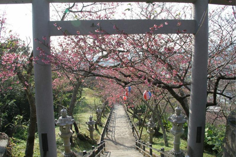 冲绳一年四季中哪个季节去最合适3