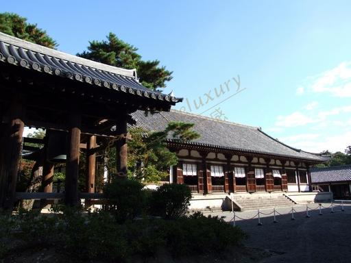 去日本奈良旅行，自由行的方式会让你感觉更加不一样1