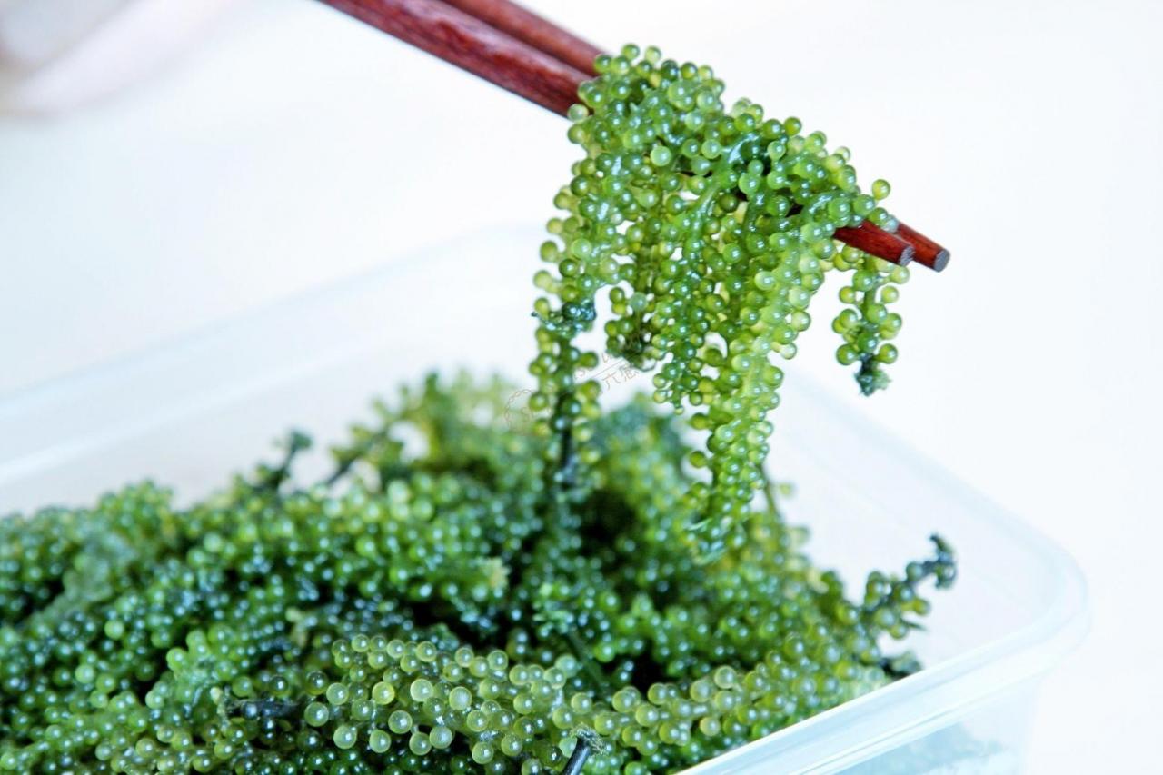 品尝一下冲绳不一样的日式美食4