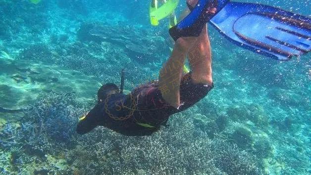 沽岛都有哪些好玩的景点,沽岛景点盘点1