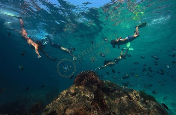 沽岛都有哪些好玩的景点,沽岛景点盘点2