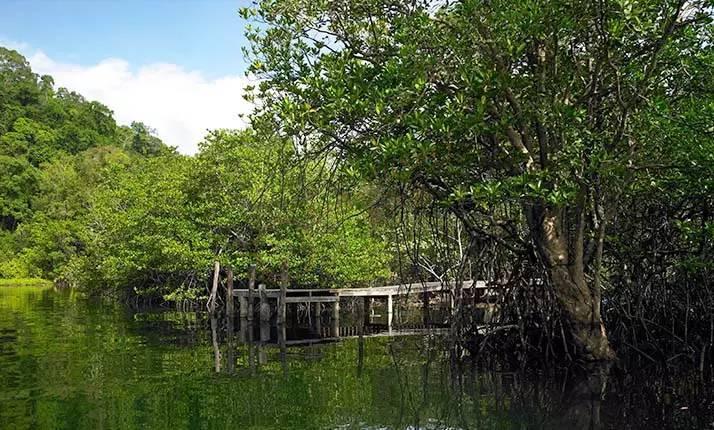 沽岛都有哪些好玩的景点,沽岛景点盘点6