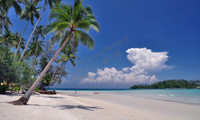 去沽岛旅游要注意哪些事情，首次必看！5