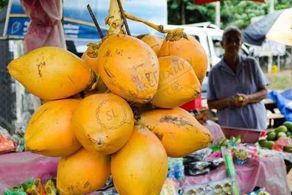 不知道去斯里兰卡旅游要多少钱，就先来看看这篇报价吧3